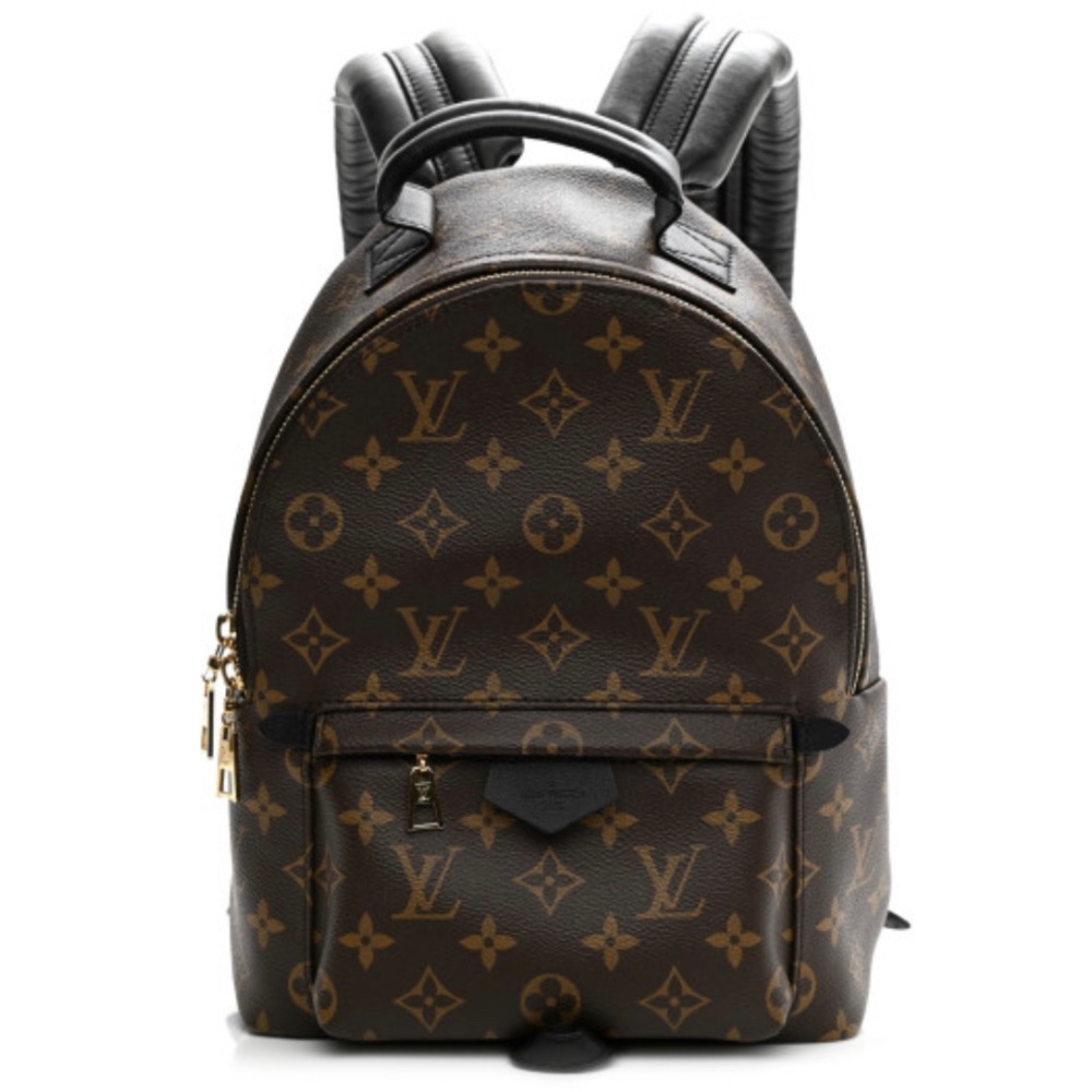Louis Vuitton Palm Springs backpack PM
